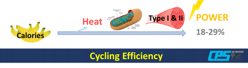 Efficiency