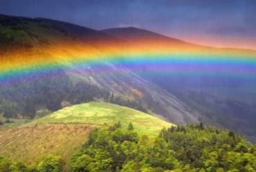 The Rainbow effect – Red as a Beetroot.