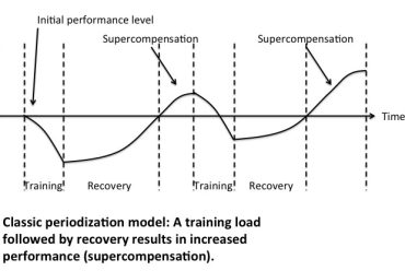 Supercompensation- is not just a big word.