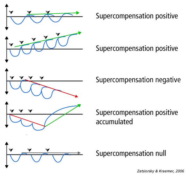 supercompensation-curve_scenario