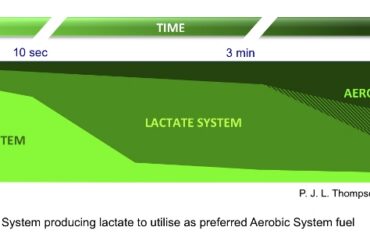 Reasons to profile your lactate kinetics