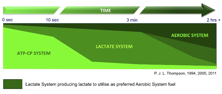 Reasons to profile your lactate kinetics