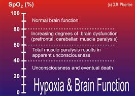 hypoxia_scale