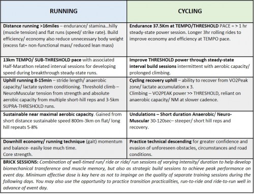 Translation_To_Training