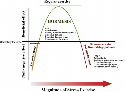 hormesis-and-exercise-regular-exercise-elicits-hormesis-reduces-oxidative
