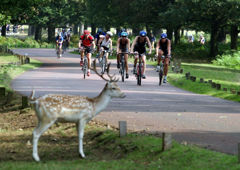 Success at the London Duathlon!